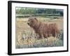 Bear in the Field-Tim OToole-Framed Art Print