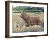 Bear in the Field-Tim OToole-Framed Art Print