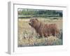 Bear in the Field-Tim OToole-Framed Art Print