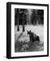 Bear in Woods in Yellowstone National Park-Alfred Eisenstaedt-Framed Photographic Print