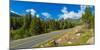 Bear Lake Road passing through forest, Rocky Mountain National Park, Colorado, USA-null-Mounted Photographic Print