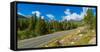 Bear Lake Road passing through forest, Rocky Mountain National Park, Colorado, USA-null-Framed Stretched Canvas