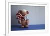 Bear Lollipop Sailor-null-Framed Photographic Print