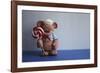 Bear Lollipop Sailor-null-Framed Photographic Print