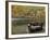 Bear Mountain Park, New York, USA-Julian McRoberts-Framed Photographic Print