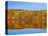 Bear Mountain State Park in autumn-Rudy Sulgan-Stretched Canvas