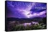 Bear Mountain State Park, New York - Purple Sky and Lightning-Lantern Press-Stretched Canvas