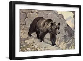 Bear on Rocks-null-Framed Art Print