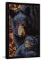 Bear - Paper Mosaic-Lantern Press-Framed Stretched Canvas