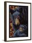 Bear - Paper Mosaic-Lantern Press-Framed Art Print