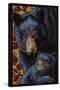 Bear - Paper Mosaic-Lantern Press-Stretched Canvas