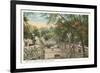 Bear Pit, Lincoln Park Zoo, Chicago, Illinois-null-Framed Premium Giclee Print