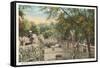 Bear Pit, Lincoln Park Zoo, Chicago, Illinois-null-Framed Stretched Canvas