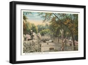 Bear Pit, Lincoln Park Zoo, Chicago, Illinois-null-Framed Art Print