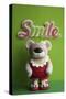 Bear Red Bathingsuit Smile-null-Stretched Canvas