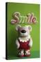 Bear Red Bathingsuit Smile-null-Stretched Canvas