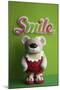 Bear Red Bathingsuit Smile-null-Mounted Photographic Print