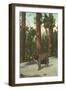 Bear, San Bernardino Mountains, California-null-Framed Art Print