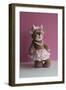 Bear Sassy-null-Framed Photographic Print