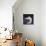 Bear-Shaped Vase, Painted Pottery from Island of Syros, Greece-null-Giclee Print displayed on a wall