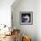 Bear-Shaped Vase, Painted Pottery from Island of Syros, Greece-null-Framed Giclee Print displayed on a wall