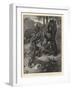 Bear-Shooting in Cashmere, a Beater's Narrow Escape-William T. Maud-Framed Giclee Print