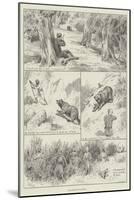 Bear-Shooting in Kashmir-null-Mounted Giclee Print