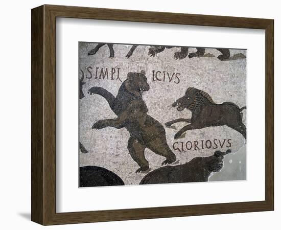 Bear Simplicius Being Attacked by Wild Boar Gloriosus-null-Framed Giclee Print