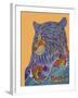 Bear Spirit-Drawpaint Illustration-Framed Giclee Print