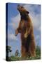 Bear Standing on Two Legs-DLILLC-Stretched Canvas