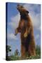 Bear Standing on Two Legs-DLILLC-Stretched Canvas