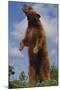 Bear Standing on Two Legs-DLILLC-Mounted Photographic Print