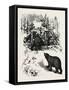 Bear Trap, Canada, Nineteenth Century-null-Framed Stretched Canvas