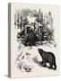 Bear Trap, Canada, Nineteenth Century-null-Stretched Canvas