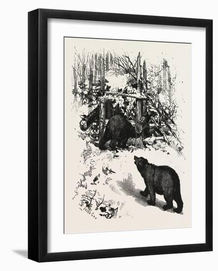 Bear Trap, Canada, Nineteenth Century-null-Framed Giclee Print