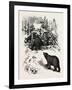 Bear Trap, Canada, Nineteenth Century-null-Framed Giclee Print