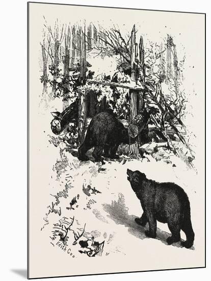 Bear Trap, Canada, Nineteenth Century-null-Mounted Giclee Print