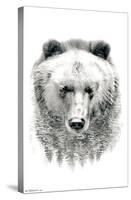 Bear - Trees-Trends International-Stretched Canvas