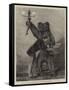 Bear Trophy at Marlborough House-Samuel Edmund Waller-Framed Stretched Canvas