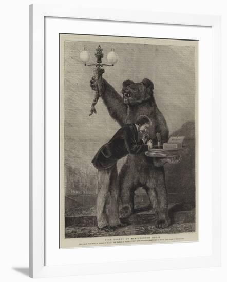 Bear Trophy at Marlborough House-Samuel Edmund Waller-Framed Giclee Print