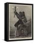 Bear Trophy at Marlborough House-Samuel Edmund Waller-Framed Stretched Canvas