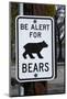 Bear Warning Sign, Silver Lake Resort, Eastern Sierra, California-David Wall-Mounted Photographic Print