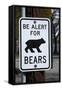 Bear Warning Sign, Silver Lake Resort, Eastern Sierra, California-David Wall-Framed Stretched Canvas