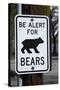 Bear Warning Sign, Silver Lake Resort, Eastern Sierra, California-David Wall-Stretched Canvas