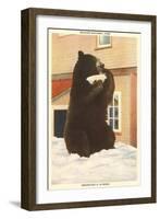 Bear with Bowl, Rainier National Park, Washington-null-Framed Art Print