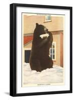 Bear with Bowl, Rainier National Park, Washington-null-Framed Art Print