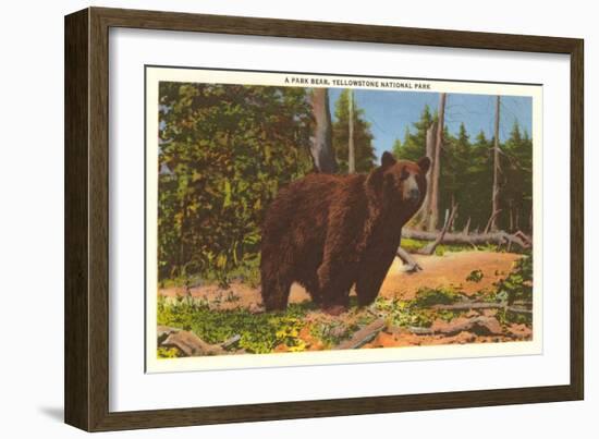 Bear, Yellowstone Park, Montana-null-Framed Art Print