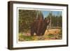 Bear, Yellowstone Park, Montana-null-Framed Art Print