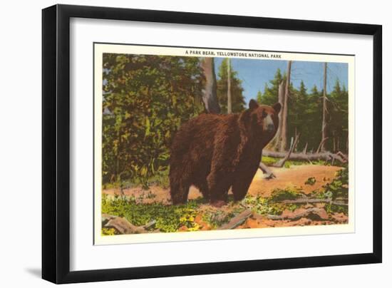 Bear, Yellowstone Park, Montana-null-Framed Art Print