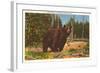 Bear, Yellowstone Park, Montana-null-Framed Art Print